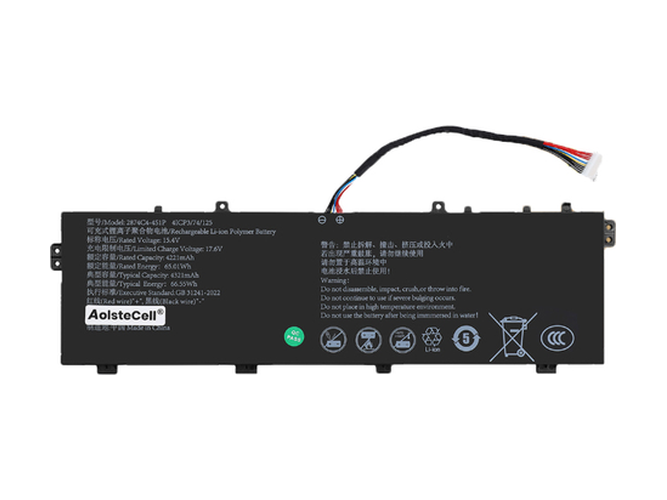 AolsteCell 2874C4-4S1P Batería