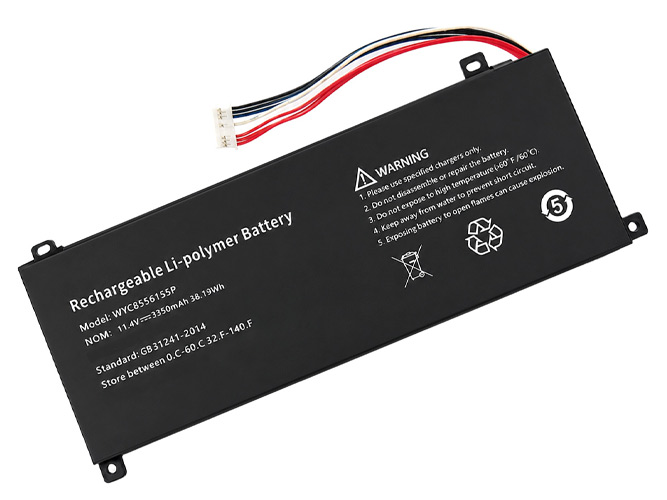 AolsteCell WYC8556155P Batería