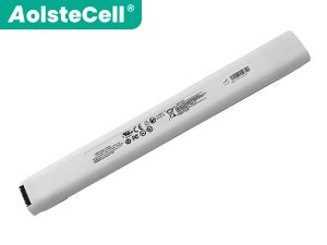 GE 5764348(5ICR19/66-2) Batería