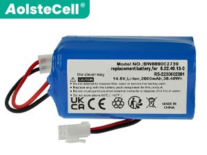 Rowenta Explorer 80 Batería