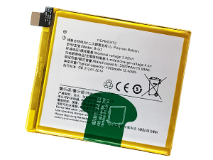 Vivo B-G3 Batería